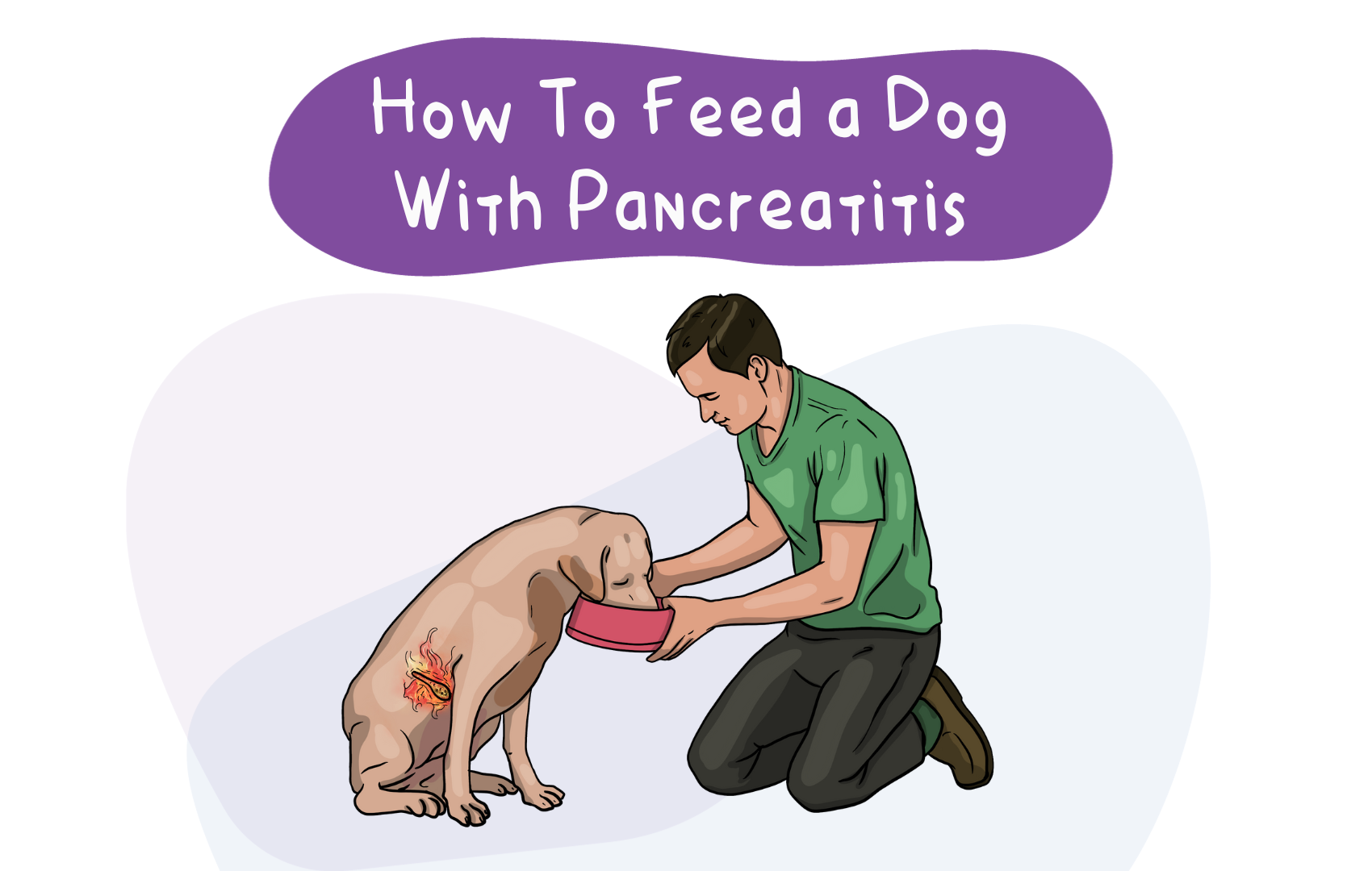 Image showcasing Feeding a Dog with Pancreatitis
